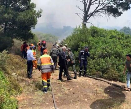 توقيف مشتبه فيه بإضرام النار في غابة عين الحصن بتطوان