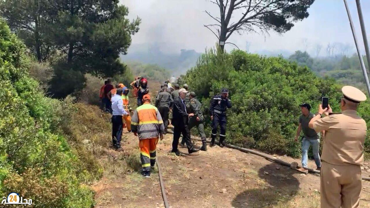 توقيف مشتبه فيه بإضرام النار في غابة عين الحصن بتطوان