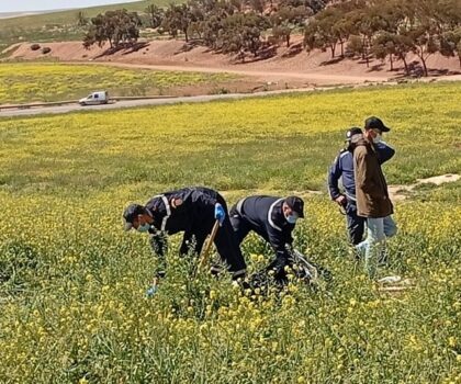 سفاح ابن أحمد.. التحقيق سالى والملف فطريقو للجنايات