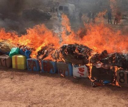 الحسيمة: ضبط وإتلاف أزيد من طنين من المخدرات في ثلاثة أشهر ضمن حملات أمنية مكثفة