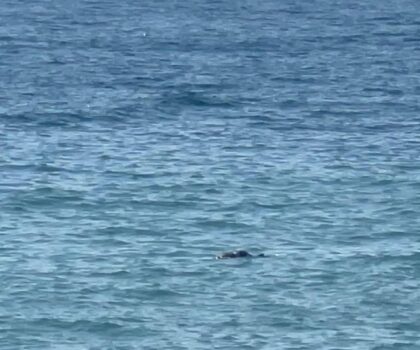 جثة جديدة تطفو على مياه شاطئ بيدرا اليمان بالفنيدق هذا الصباح