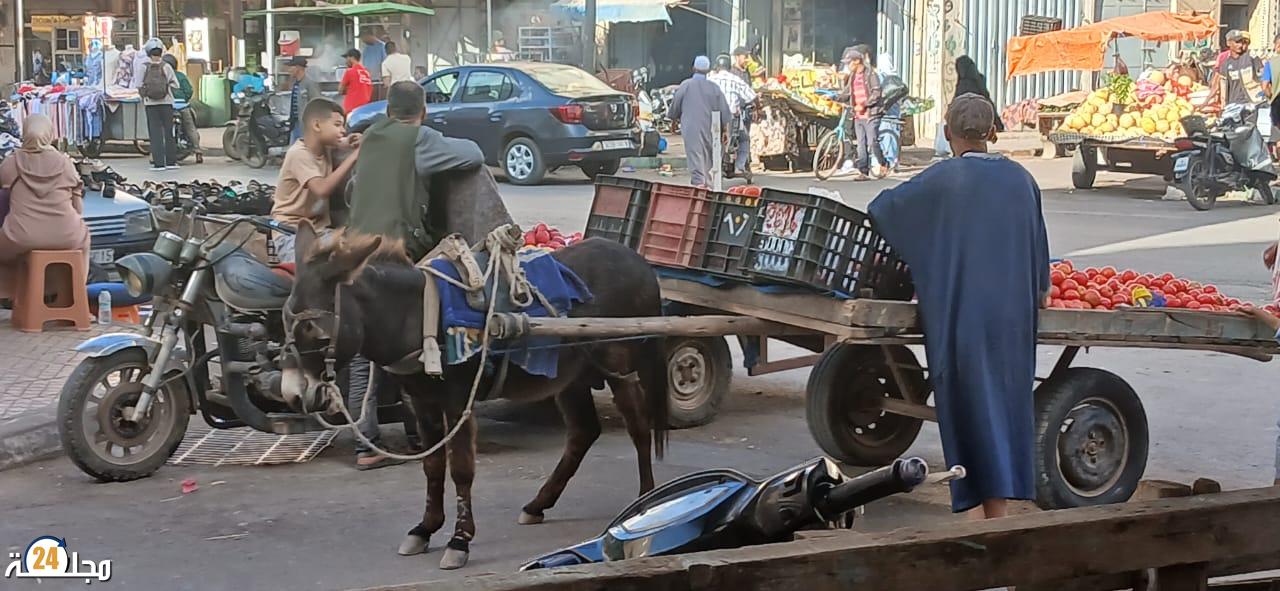 قائد يحرر الشوارع من العربات والدواب وآخر يفتح لهم الأحياء والشوارع وحديث عن شبهات