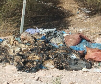 فضيحة بيئية جديدة قرب سطات.. دجاج نافق مرمي على قارعة الطريق دون احترام الشروط الصحية!