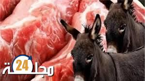 بين لحوم الحمير والبقر: مشهد يروي قصة الإهمال