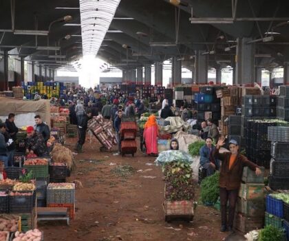 مجلس المنافسة يدق ناقوس الخطر حول اختلالات سوق الخضر والفواكه بالمغرب