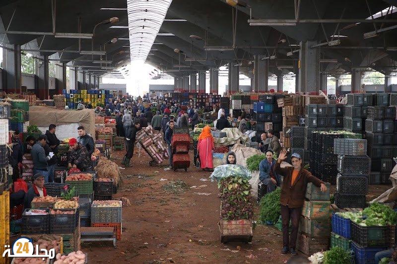 مجلس المنافسة يدق ناقوس الخطر حول اختلالات سوق الخضر والفواكه بالمغرب