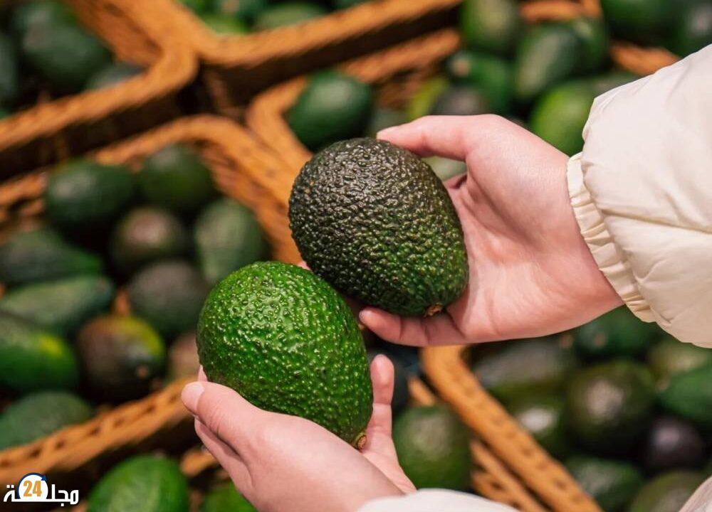 موجات الحرارة تخفض إنتاج الأفوكادو في المغرب بنحو 50 ألف طن