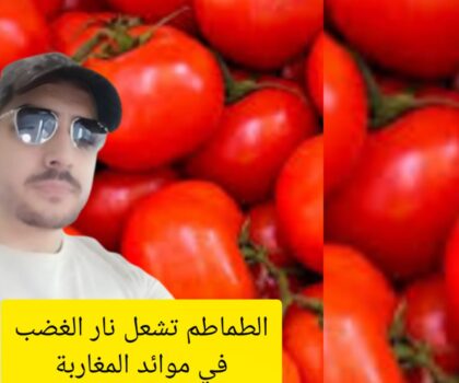 أزلو محمد يكتب:الطماطم تُشعل نار الغضب في موائد المغاربة!