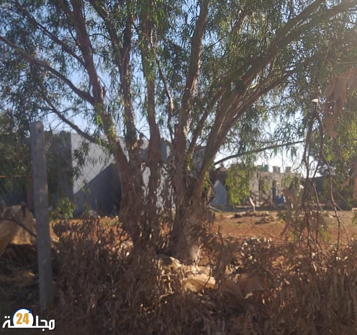 خميس متوح ضواحي الجديدة… حيث البناء العشوائي يرقص فوق القانون