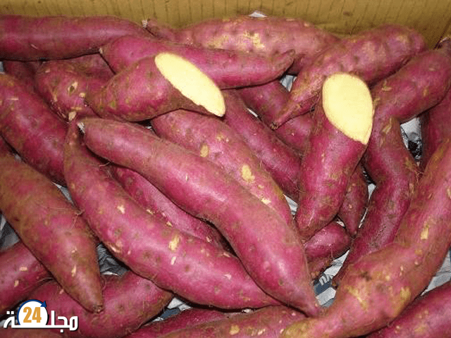 البطاطا الحلوة.. غذاء غني يدعم المناعة ويحارب السرطان ويحسّن الهضم