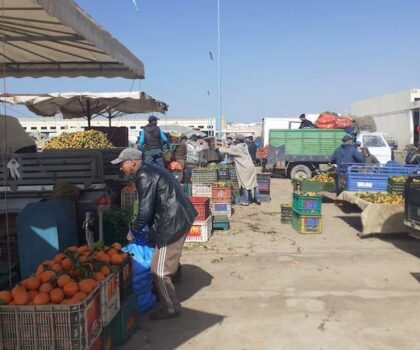 سوق الجملة بسطات… سرقة الكهرباء في واضحة النهار وسط صمت الجهات الوصية
