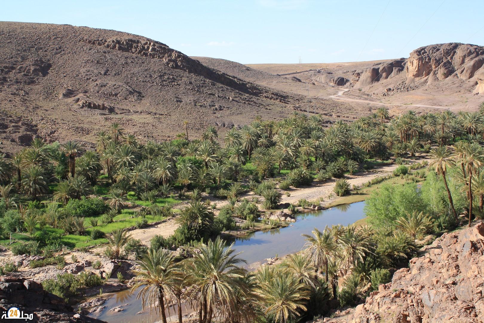 واحات المغرب على شفير الإندثار : صرخة الطبيعة و المجتمعات ضد الجفاف و التخلي