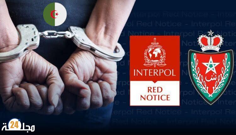 أمن مطار طنجة يوقيف فرنسيا من أصول جزائرية مبحوث عنه دوليا لدى السلطات الفرنسية