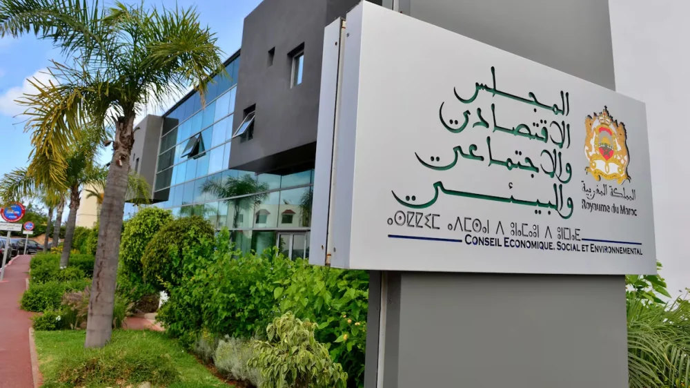 واقع البحث العلمي بالمغرب.. المجلس الاقتصادي يدق ناقوس الخطر