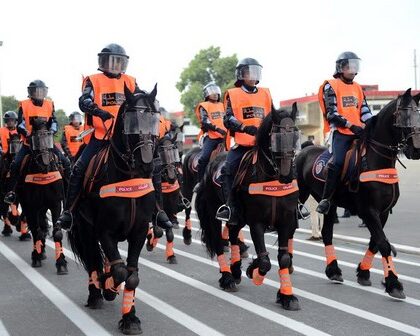 إسبانيا.. المغرب يشارك في الدورة الأولى لأيام الفرس الدولية لشرطة الخيالة بإشبيلية