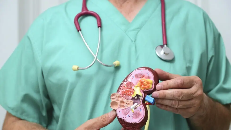 دواء جديد يحمي مرضى السكري من تلف الكلى