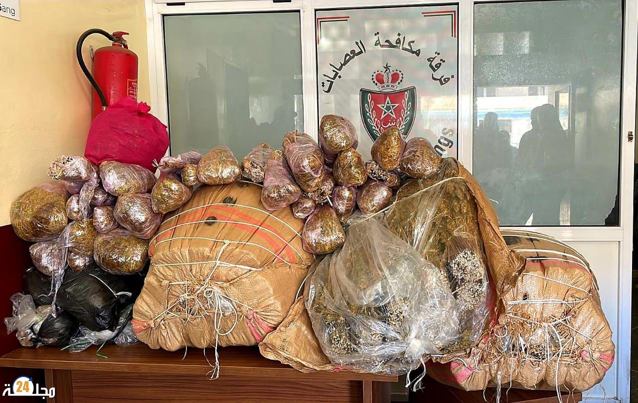 ابن جرير : حجز حوالي 52 كلغ من مسحوق ” النفحة”.