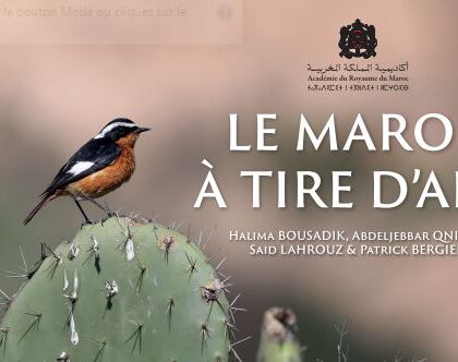 بلاغ صحفي صدور كتاب “المغرب في رفة جناح”