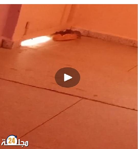 ثانوية الإمام الغزالي التأهيلية وفيديو الجردان