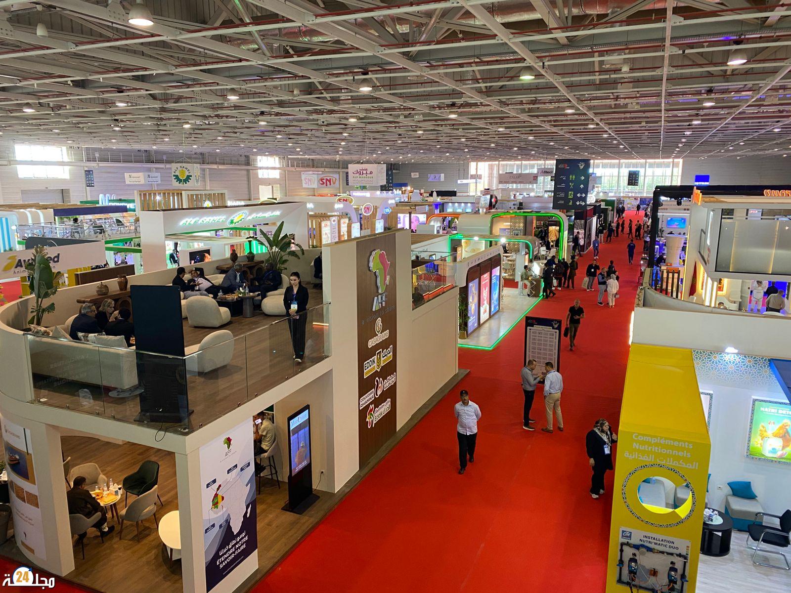 انطلاق فعاليات الدورة 26 لمعرض “الدواجن” الدولي بمدينة الجديدة