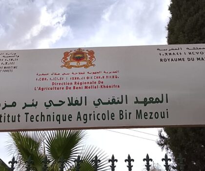 بئر مزوي:المعهد التقني الفلاحي.. صرح وطني لتأهيل الكفاءات في خدمة التنمية الفلاحية المغربية