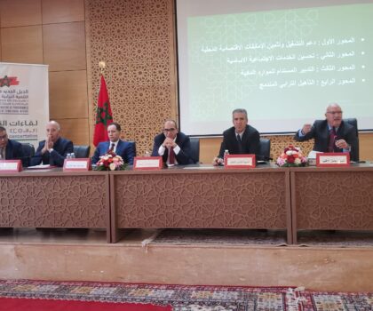 عامل إقليم تيزنيت يترأس اجتماعا تشاوريا لتفعيل التوجيهات الملكية حول العدالة المجالية