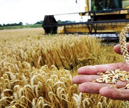 البرازيل توسع صادراتها الزراعية نحو المغرب