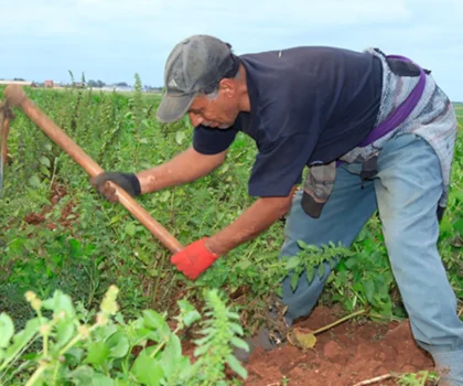 التساقطات المطرية الأخيرة تبشر بموسم فلاحي جيد