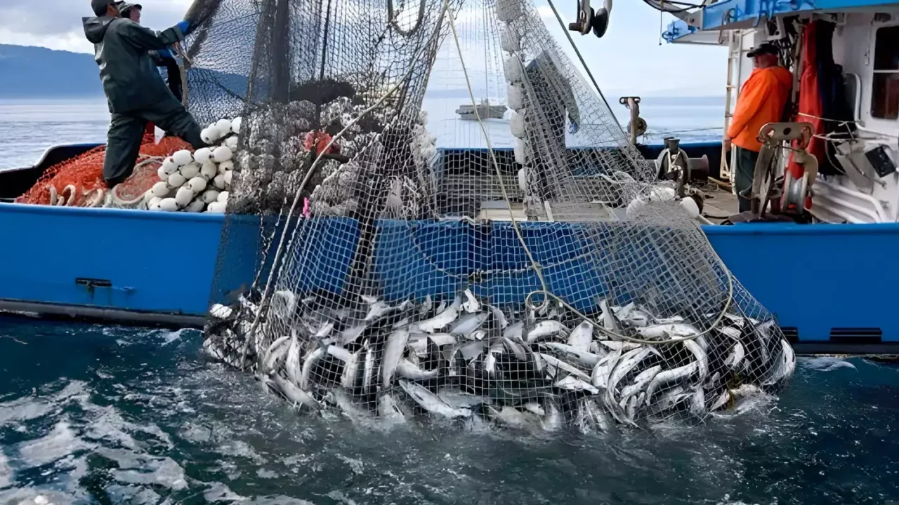 المغرب روسيا.. اتفاق جديد لتعزيز حصة موسكو من الصيد البحري في المياه المغربية