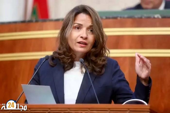 بنعلي تبرز مخطط إصلاح القطاع المعدني لتعزيز السيادة الاقتصادية الوطنية