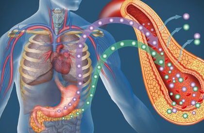 أعشاب طبيعية تساعد مرضى السكري على التعايش الآمن مع المرض
