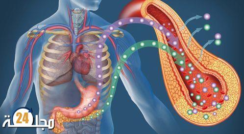 أعشاب طبيعية تساعد مرضى السكري على التعايش الآمن مع المرض