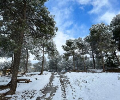 المغرب.. الثلوج تنعش الآمال في تغذية الفرشات المائية