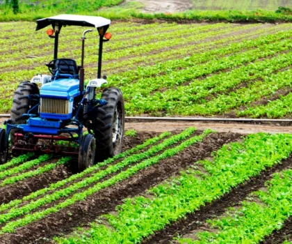 سطات..التساقطات المطرية الأخيرة تبشر بسنة فلاحية واعدة