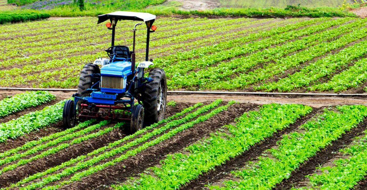 سطات..التساقطات المطرية الأخيرة تبشر بسنة فلاحية واعدة