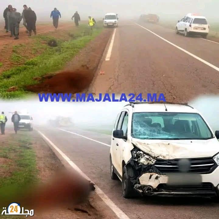 وفاة طالبة جامعية بطريق أولاد فرج في حادث اصطدام سيارة أجرة بحصان