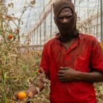 مهاجرون أفارقة يتنازلون عن “الحلم الأوروبي” ويختارون الاستقرار والعمل بإقليم اشتوكة آيت باها