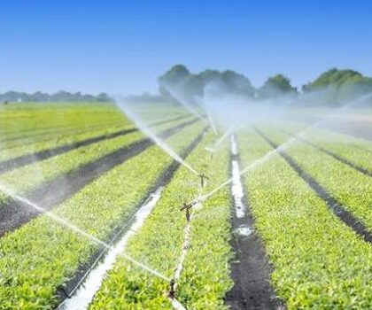 خبير مغربي يدعو لاعتماد الحلول الرقمية الذكية لإرساء نظم زراعية مستدامة