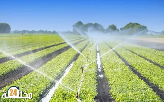 خبير مغربي يدعو لاعتماد الحلول الرقمية الذكية لإرساء نظم زراعية مستدامة