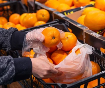 البرتقال المغربي يغزو الأسواق الروسية خلال 2025