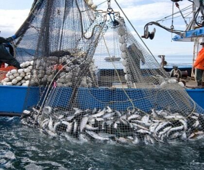 ميناء آسفي يسجل تراجعا في مؤشرات إفراغ منتجات الصيد البحري خلال يناير 2026