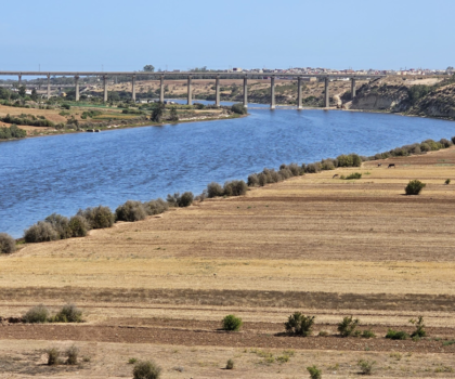 وادي أم الربيع يستعيد عافيته.. بشائر موسم مائي واعد من قلب الأطلس