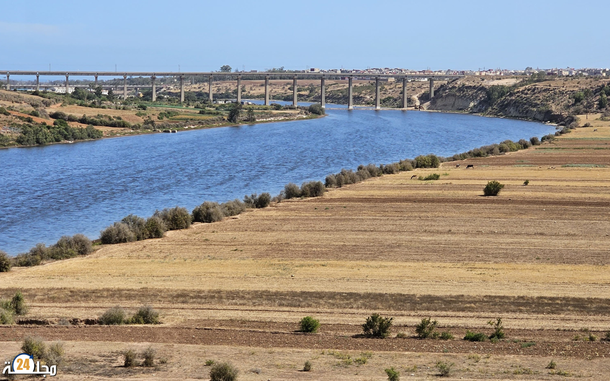 وادي أم الربيع يستعيد عافيته.. بشائر موسم مائي واعد من قلب الأطلس