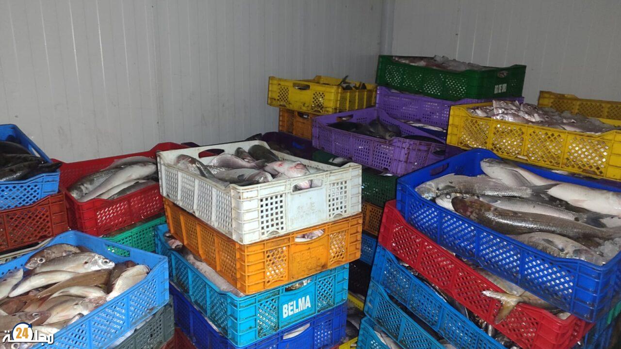 الدرك الملكي يحجز 5 أطنان من المصطادات البحرية ويوقف مشتبه فيهم