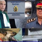 الدرك الملكي يسقط أخطر عصابتين يتزعمهما “ولد زهيرة” خلق الرعب بالكلاب والسيوف ببوسكورة