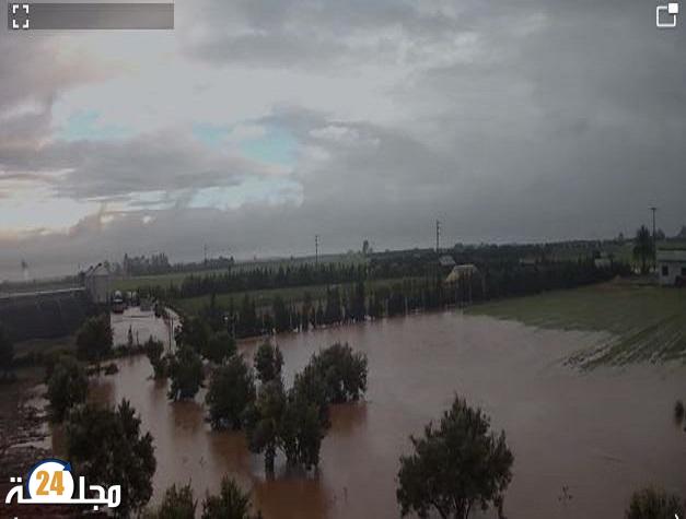 حين تتحول رخصة تربية الدجاج إلى رخصة لإيذاء الساكنة بجماعة أولاد سعيد