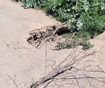 خطير…حفر كبيرة تهدد مستعملي الطريق بدوار الخضر تحت قنطرة الطريق السيار الجديدة-أسفي