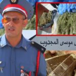 المحمدية… 200 كيلوغرام من الكيف في قبضة الدرك ومطاردة مروج لاذ بالفرار بسيدي موسى المجدوب