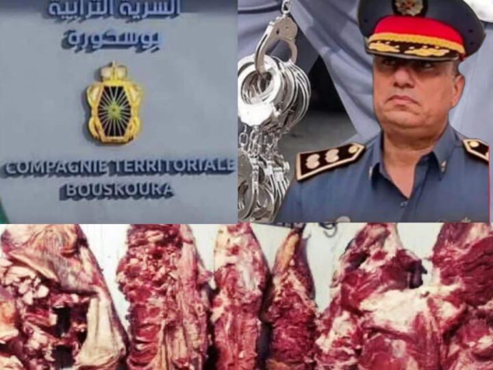 بداية رمضان…الدرك الملكي ببوسكورة يقطع الطريق على “مافيا اللحوم” ويحجز أطنانا من الذبائح الفاسدة
