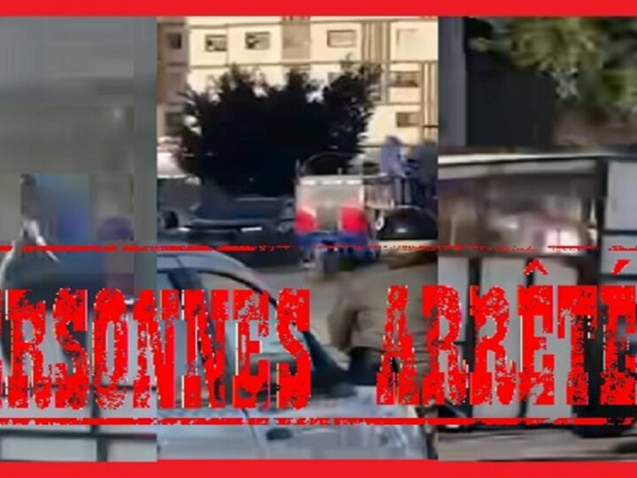 أمن الرحمة يوقف شخصين استغلا دراجة ثلاثية العجلات في نقل الركاب بدون ترخيص